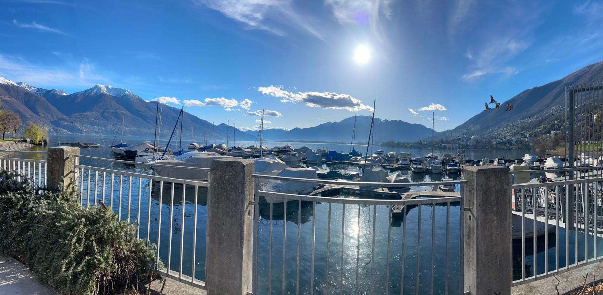 Moderno Bilocale Vista Lago Maggiore Gordola Dış mekan fotoğraf